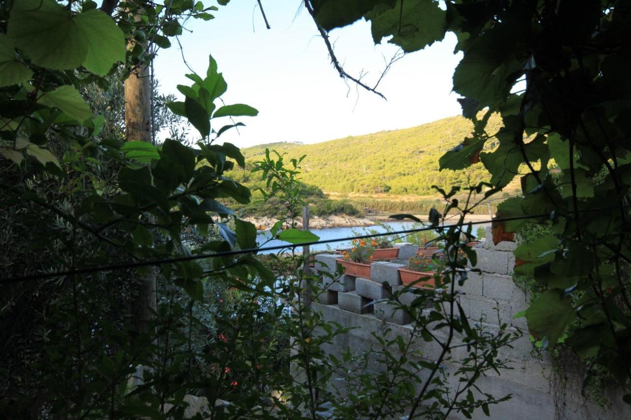 Apartments By The Sea Milna, Vis - 8913 Εξωτερικό φωτογραφία
